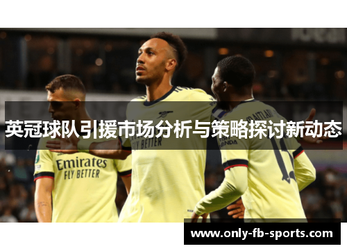 英冠球队引援市场分析与策略探讨新动态