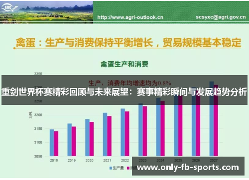 重剑世界杯赛精彩回顾与未来展望：赛事精彩瞬间与发展趋势分析
