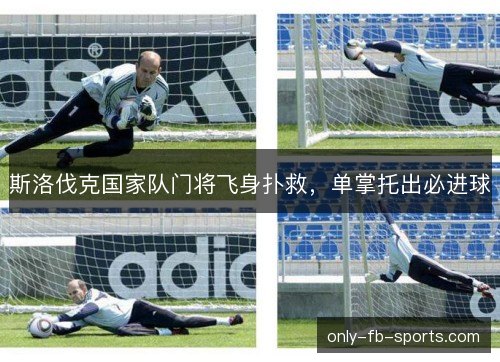 斯洛伐克国家队门将飞身扑救,单掌托出必进球 斯洛伐克国家队门将飞身扑救,单掌托出必进球